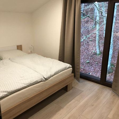 Apartmán Lúčnica Tále Kültér fotó
